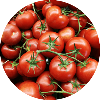 Tomatoes